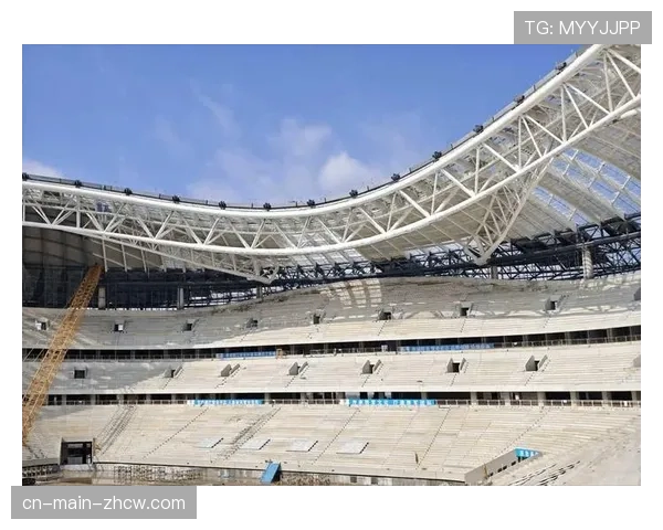 评论：球场Wi-Fi6E成为标配，但数字鸿沟下老年球迷的观赛体验谁来保障？